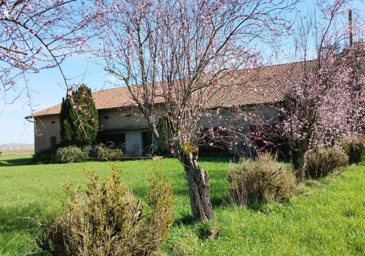 vente Maison de caractère Montauban