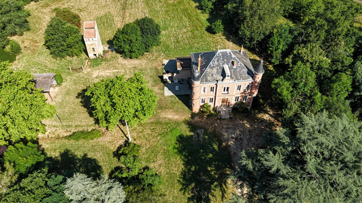 sale Manoir Castelsarrasin - Photo 3