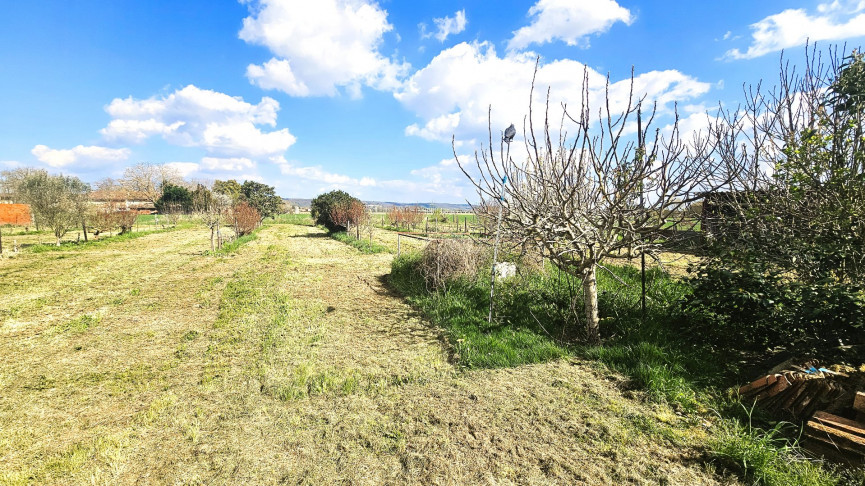 sale Maison à rénover Grisolles - Photo 6