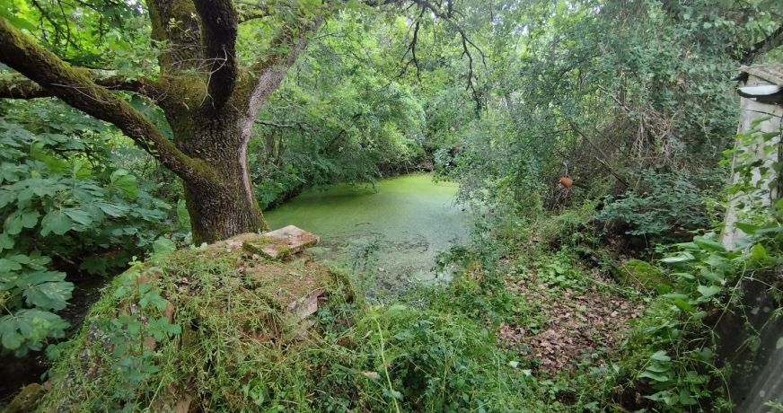 vente Maison à construire Canals