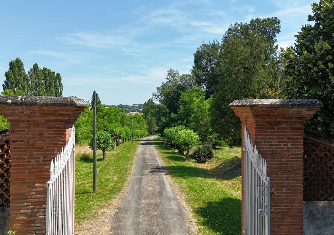 vente Château Montauban