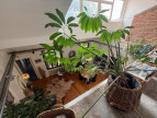 vente Maison Montauban