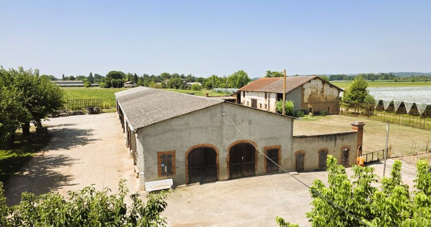 vente Maison de caractère Negrepelisse