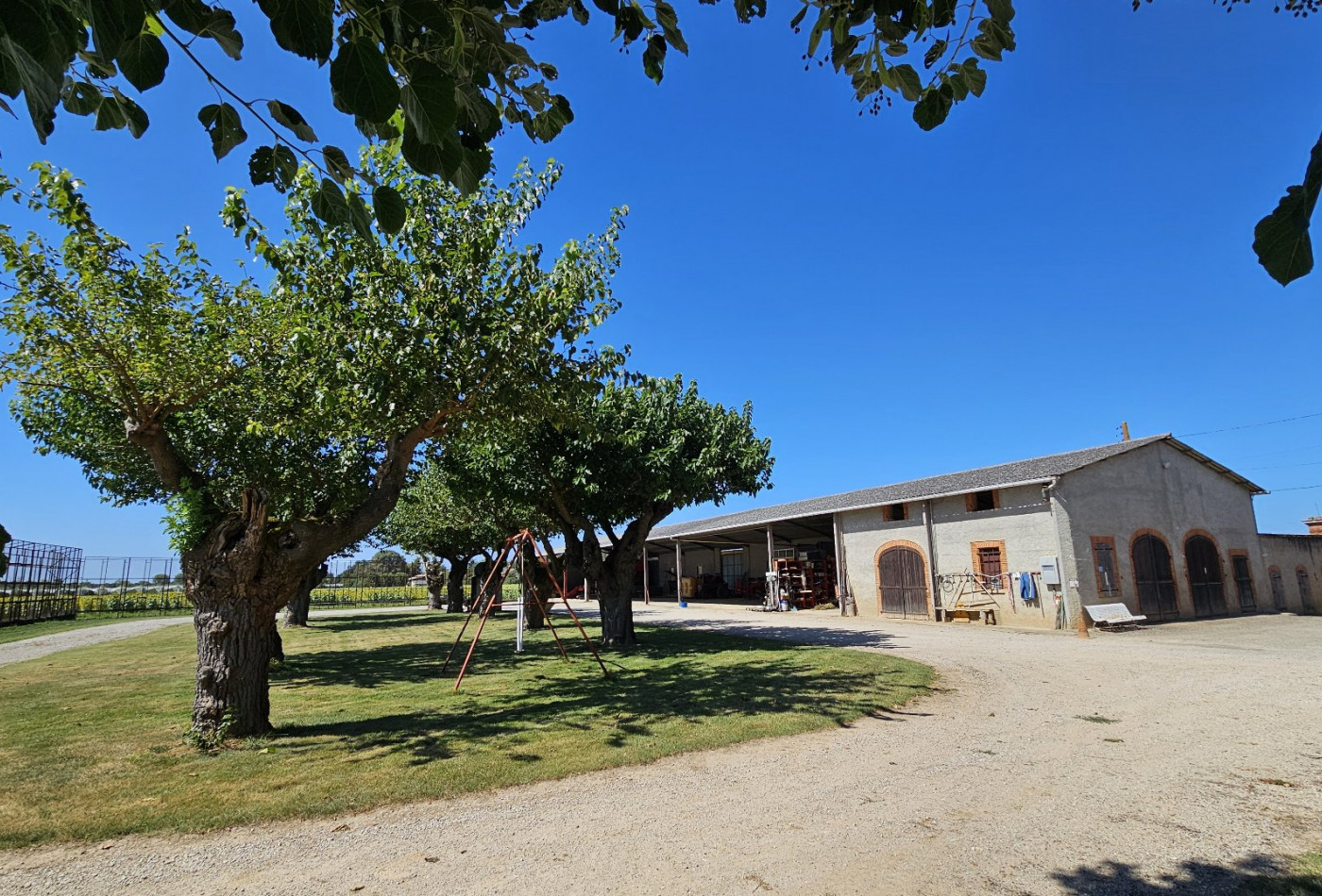 vente Maison de caractère Negrepelisse - Photo 8