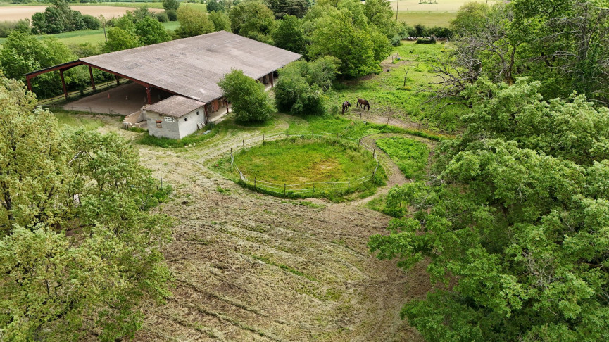 vente Hangar Saint Sardos - Photo 1
