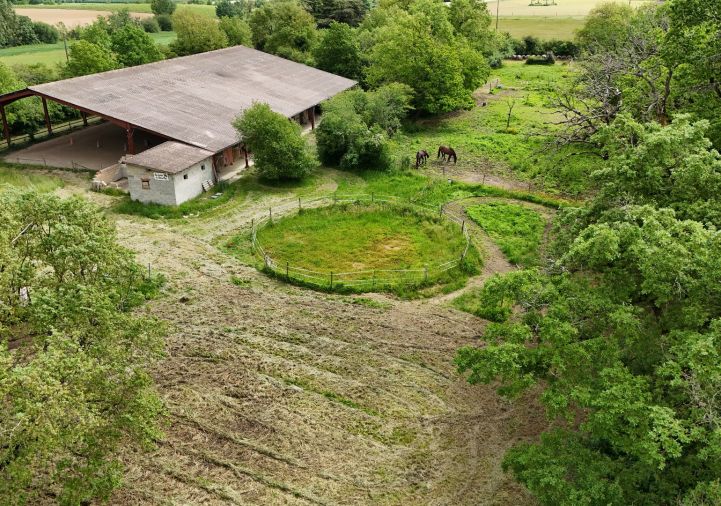 vente Hangar Saint Sardos