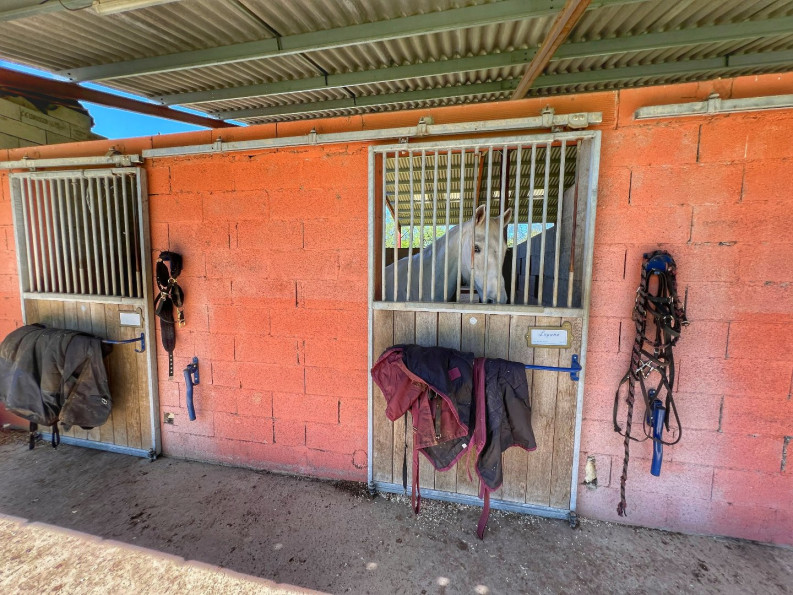 vente Hangar Saint Sardos - Photo 3