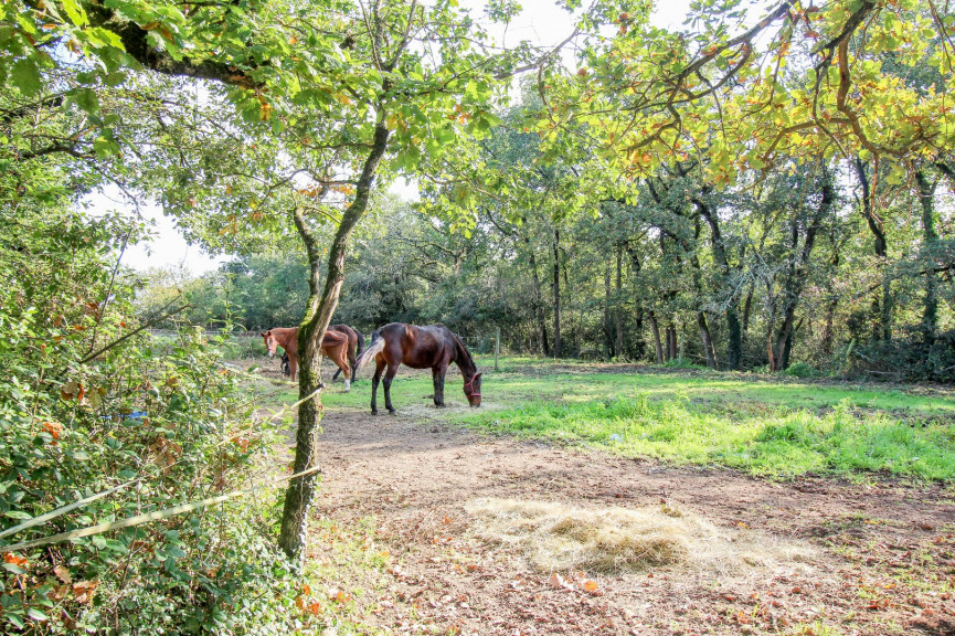 vente Hangar Saint Sardos - Photo 4