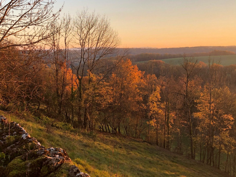 vente Maison de hameau Verfeil Sur Seye - Photo 19