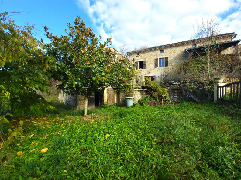 vente Maison de hameau Verfeil Sur Seye - Photo 3