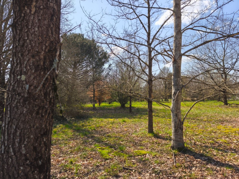 vente Terrain Negrepelisse - Photo 2