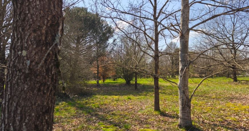 vente Terrain Negrepelisse