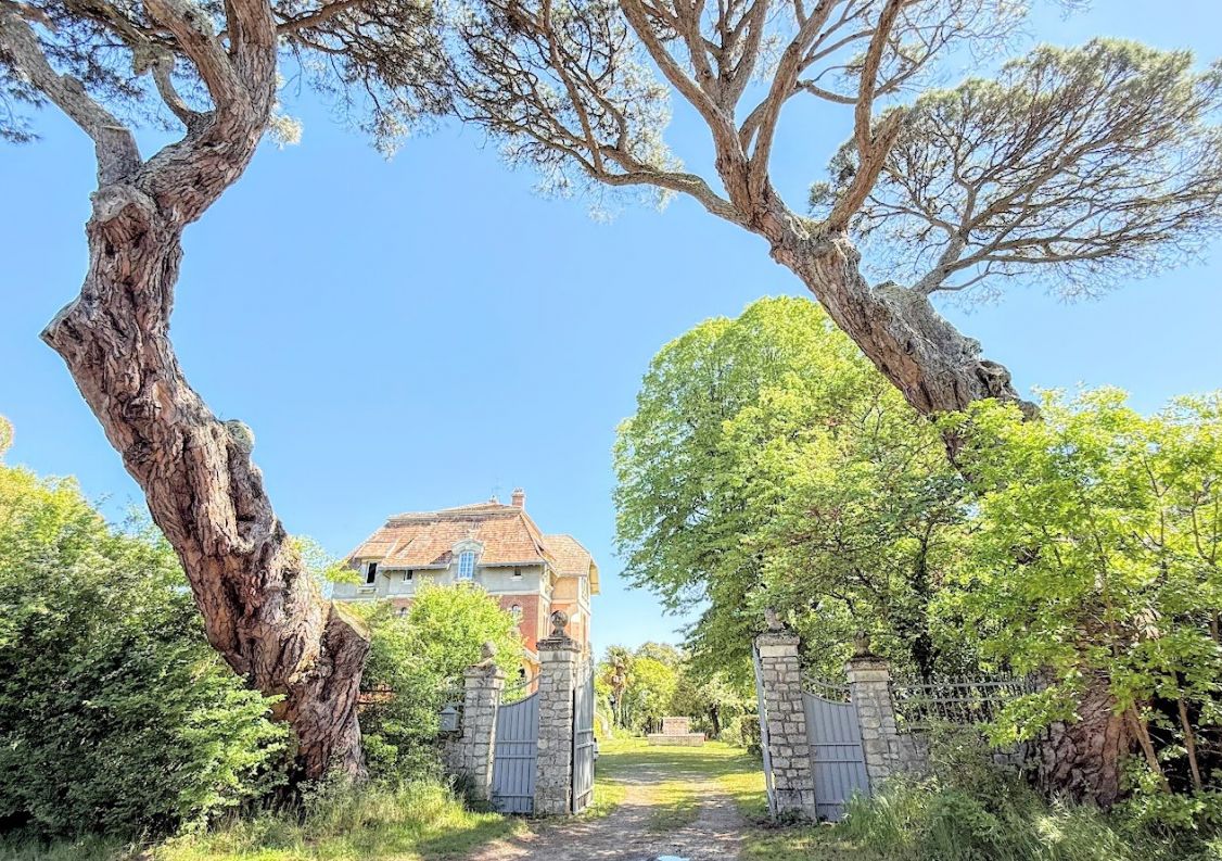 vente Château Montauban