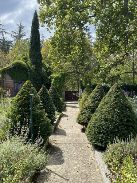 vente Domaine Cintegabelle - Photo 4