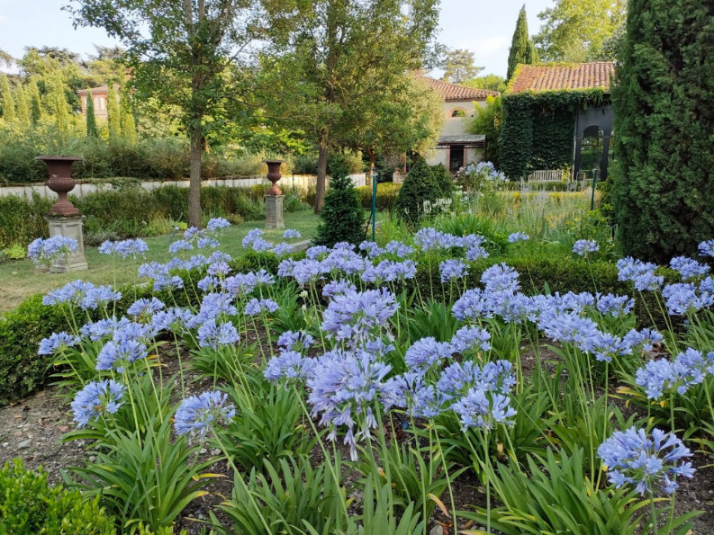 vente Domaine Cintegabelle - Photo 2