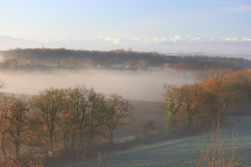 vente Domaine Castelnaudary - Photo 2