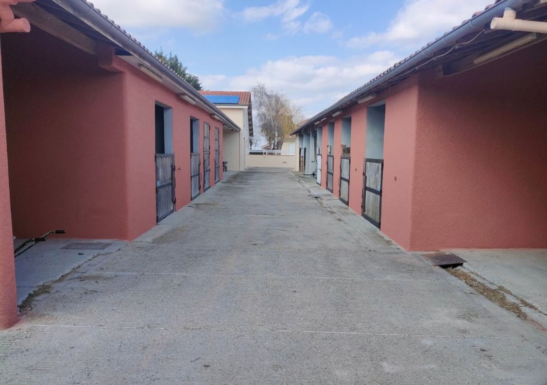 vente Haras / equestre Mirepoix