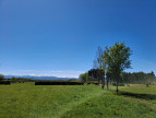 vente Haras / equestre Mirepoix