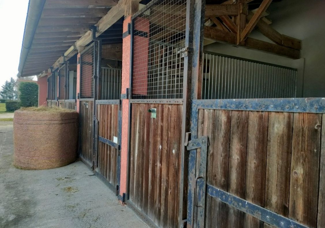 vente Haras / equestre Mirepoix