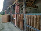 sale Haras / equestre Mirepoix