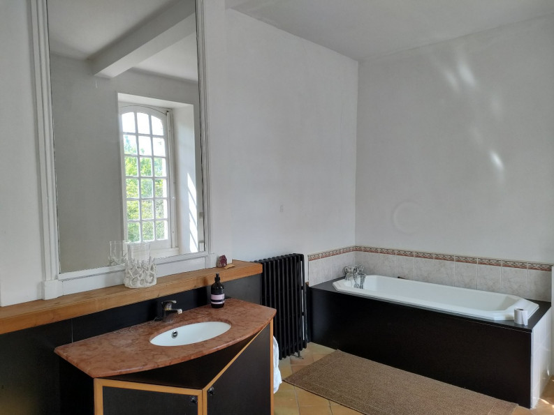 vente Château Toulouse - Photo 16