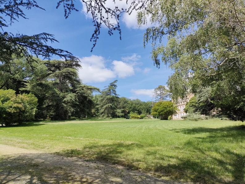 vente Château Toulouse - Photo 3