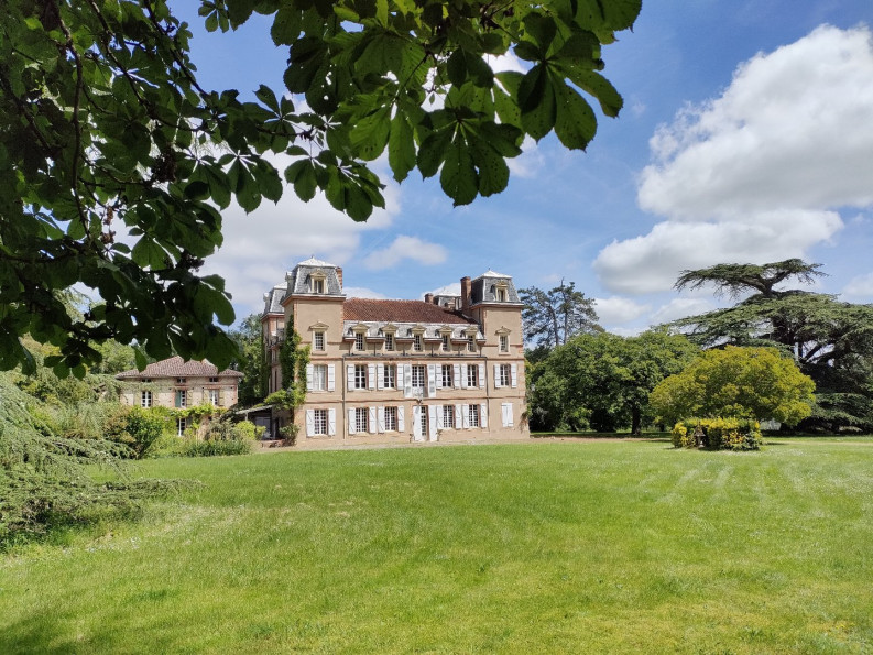 vente Château Toulouse - Photo 1