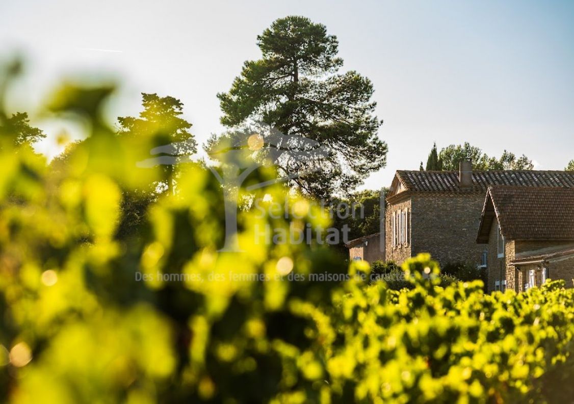 vente Domaine Carcassonne