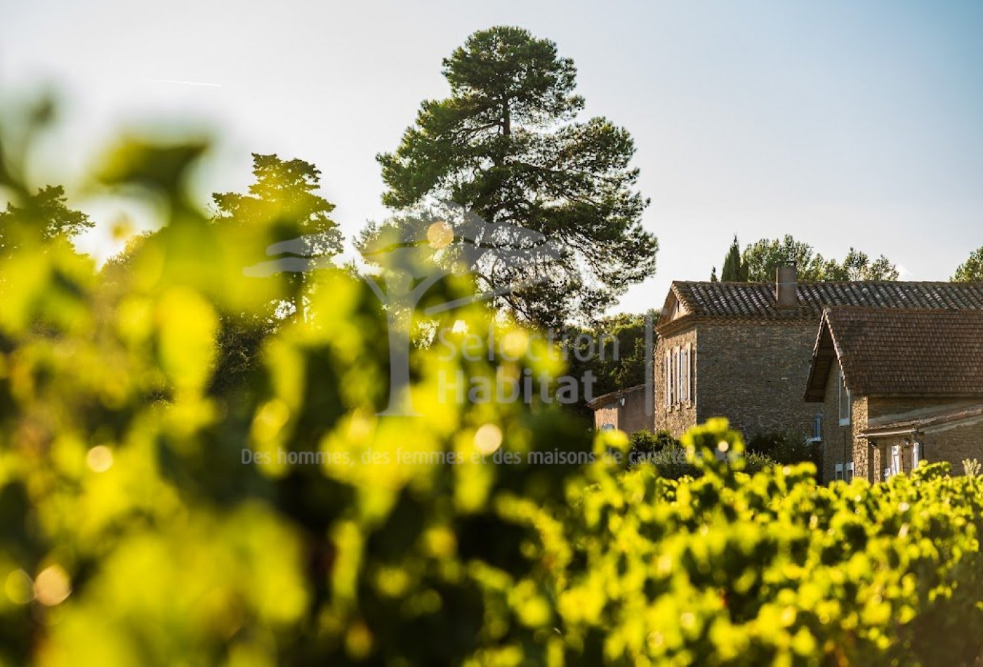 vente Domaine Carcassonne - Photo 4