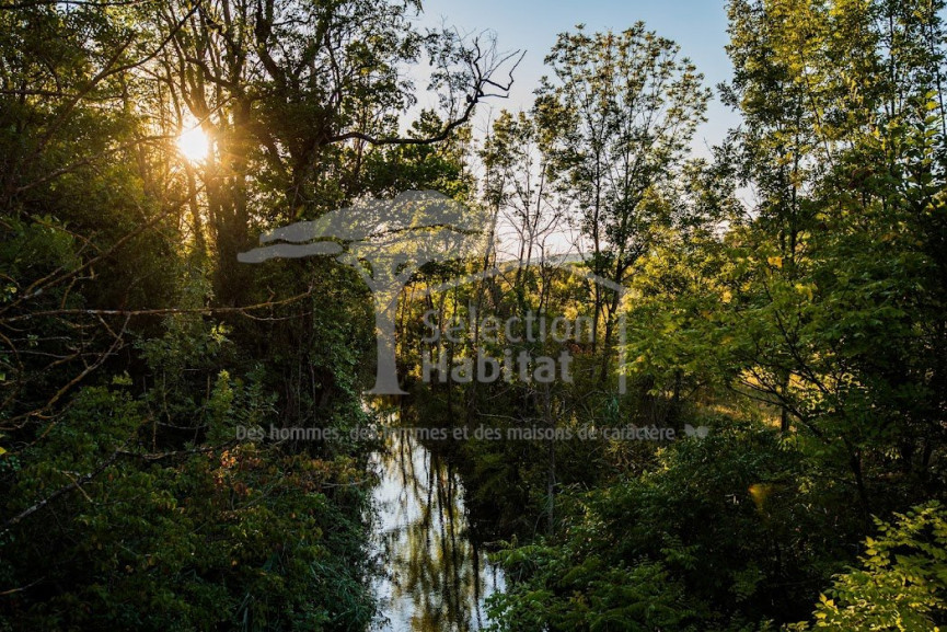 sale Domaine Carcassonne - Photo 19