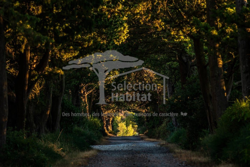 à vendre Domaine Carcassonne - Photo 3