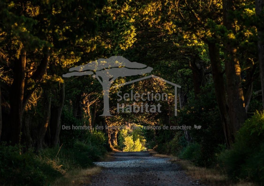 vente Domaine Carcassonne