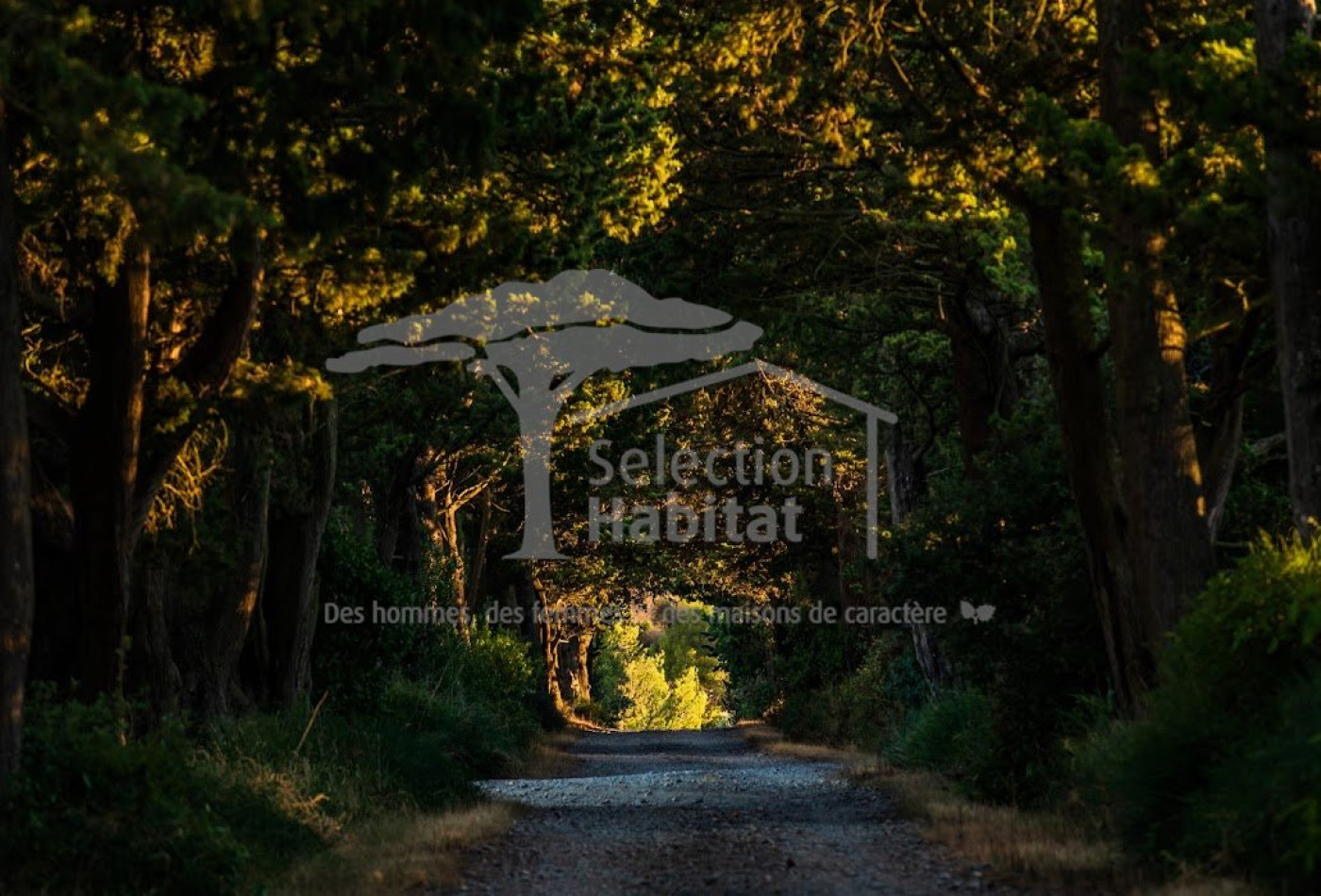 vente Domaine Carcassonne - Photo 3