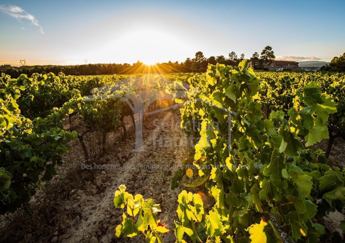 vente Domaine Carcassonne