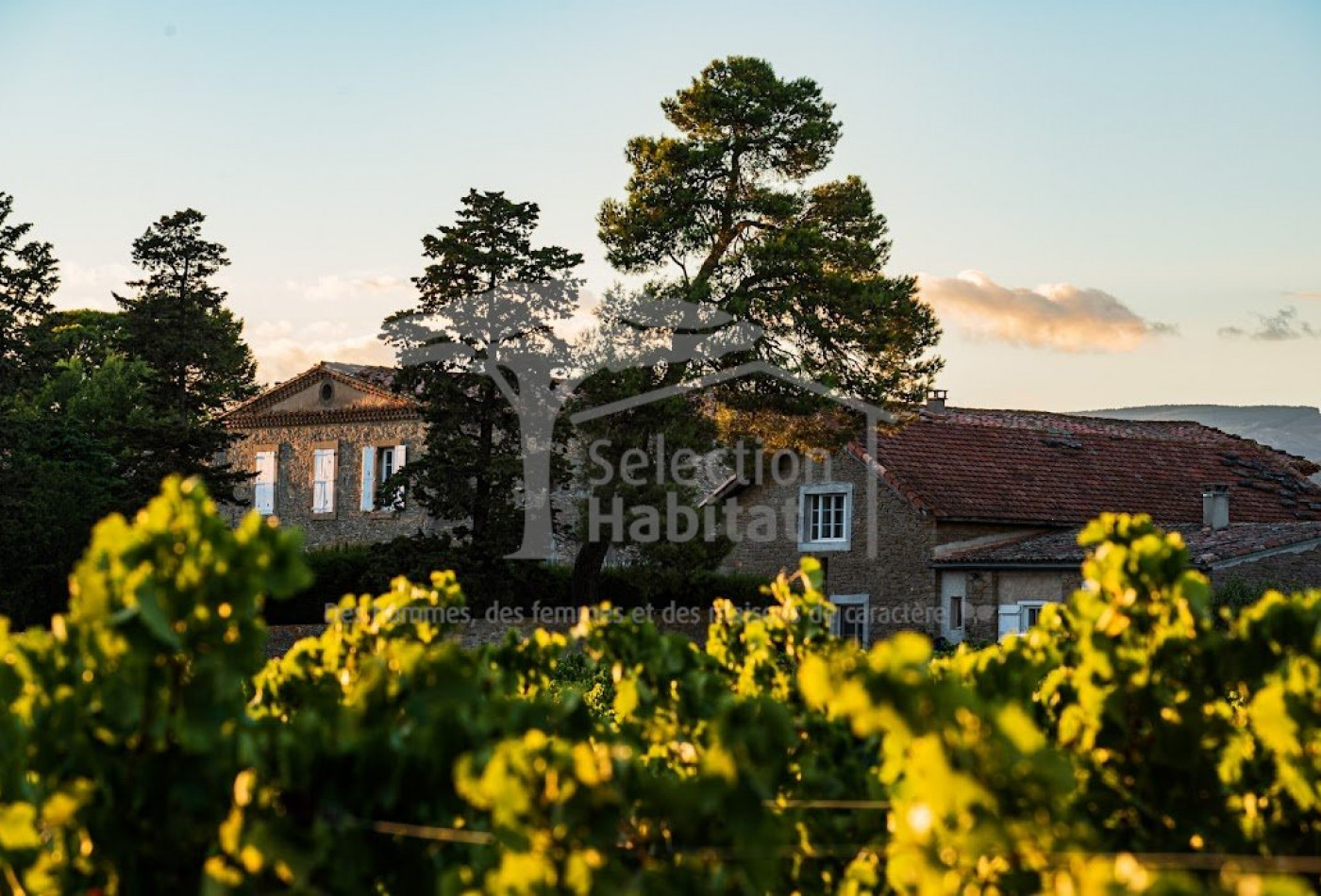 vente Domaine Carcassonne - Photo 5