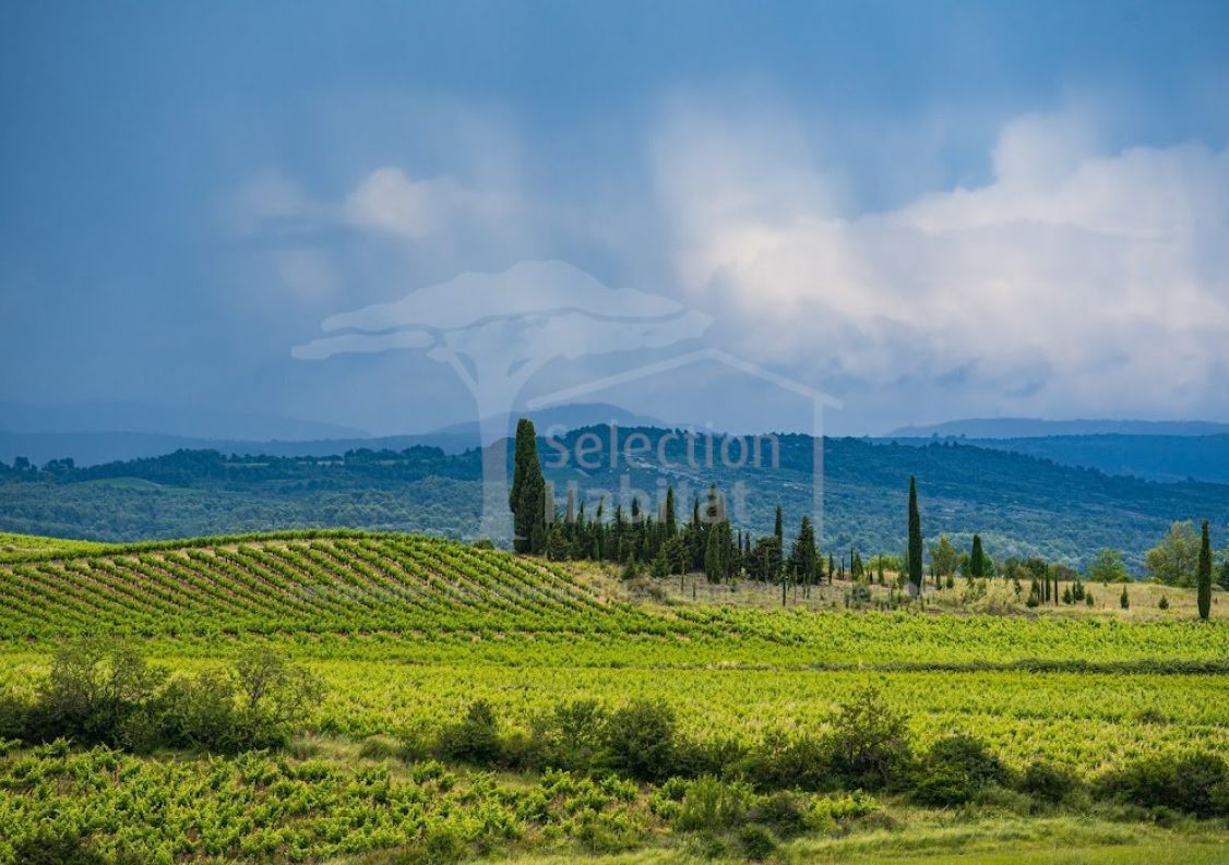 vente Domaine Carcassonne