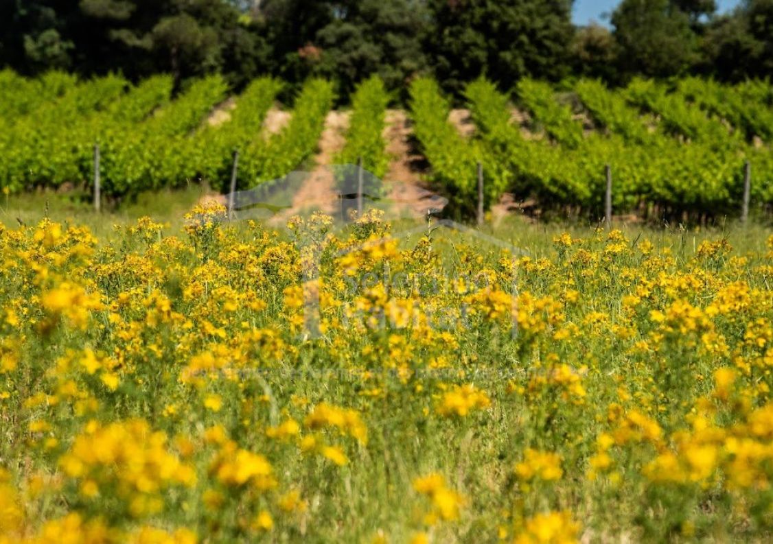 vente Domaine Carcassonne