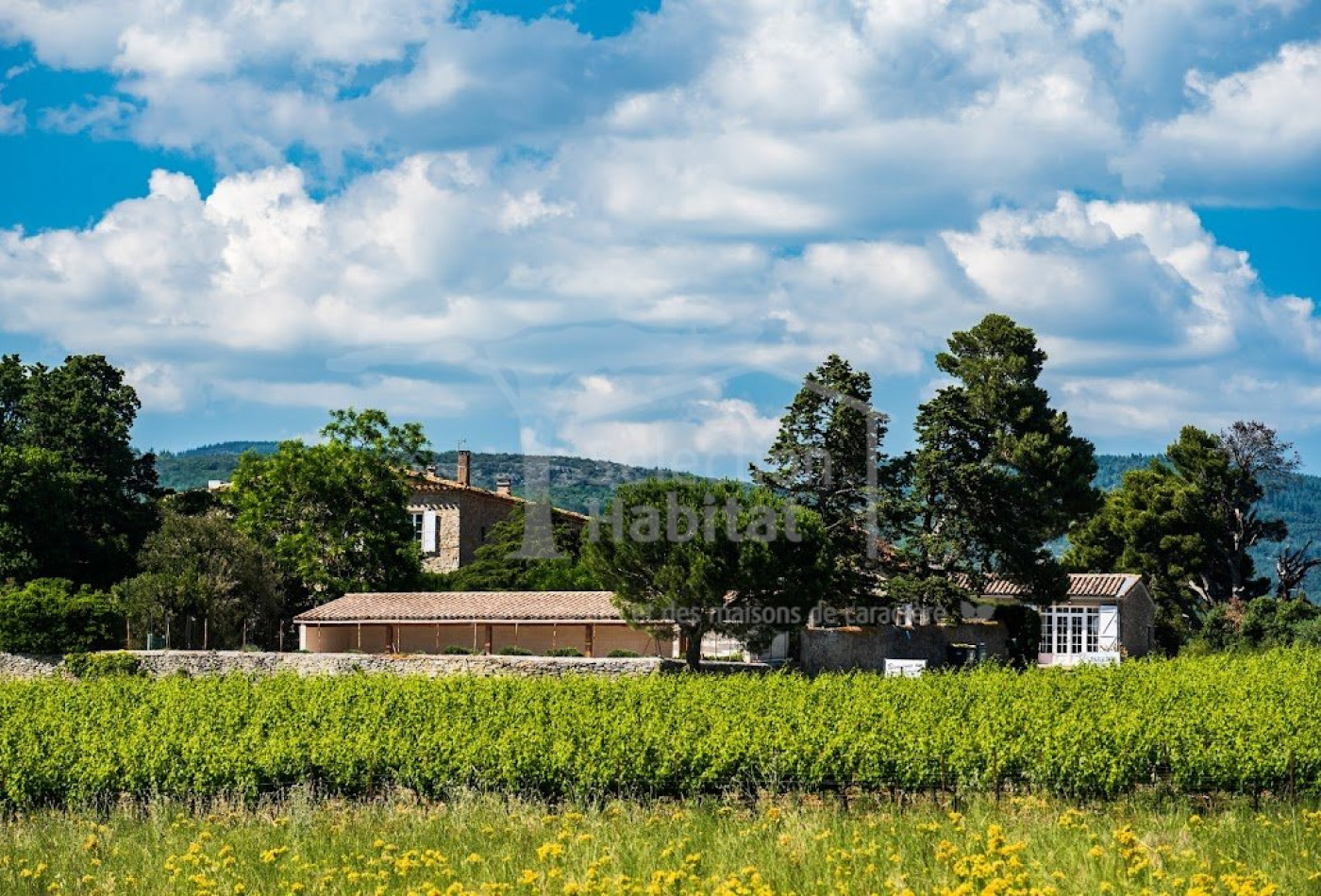 vente Domaine Carcassonne - Photo 6
