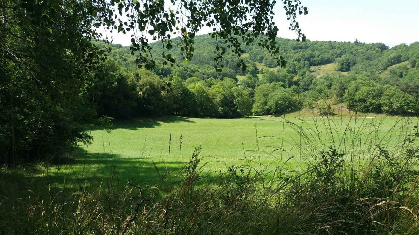 vente Domaine Ventenac - Photo 2