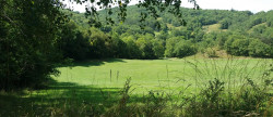 vente Domaine Ventenac