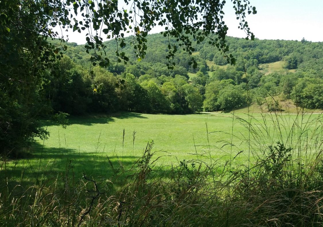 vente Domaine Ventenac