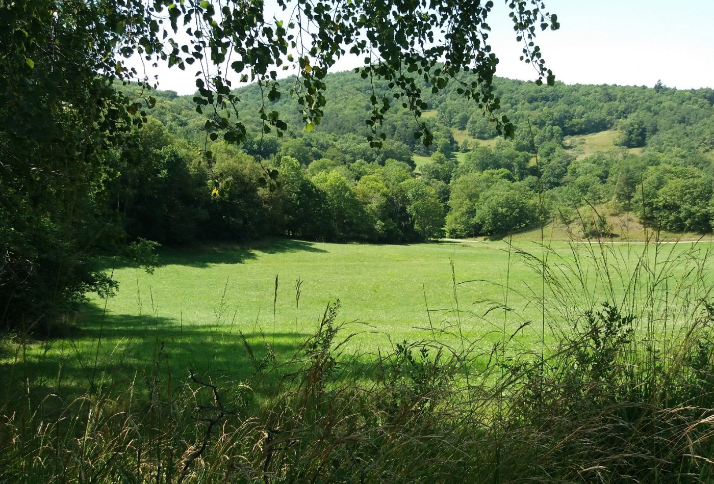 vente Domaine Ventenac - Photo 3