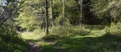 vente Domaine Ventenac