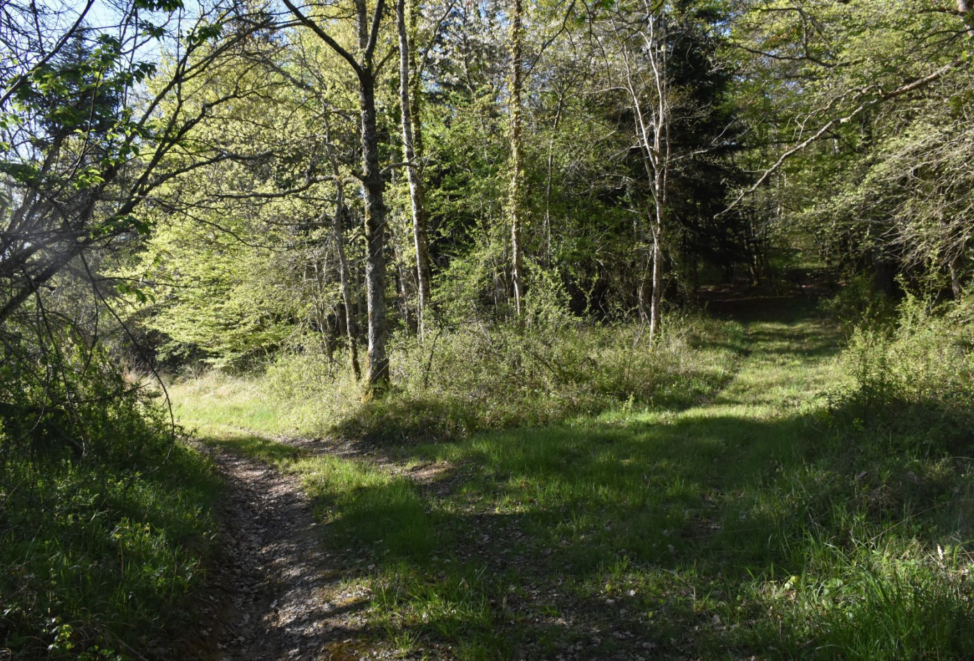vente Domaine Ventenac - Photo 9