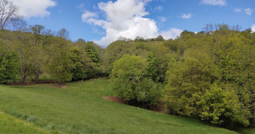 vente Domaine Ventenac