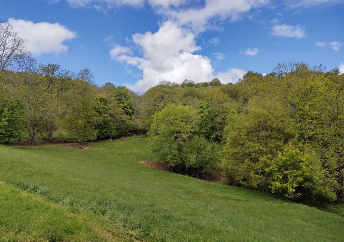 vente Domaine Ventenac