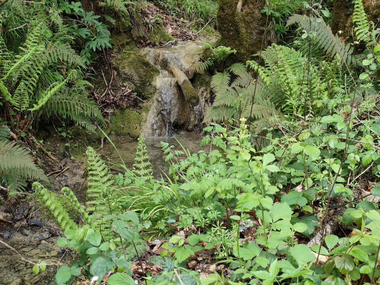 vente Domaine Ventenac - Photo 18