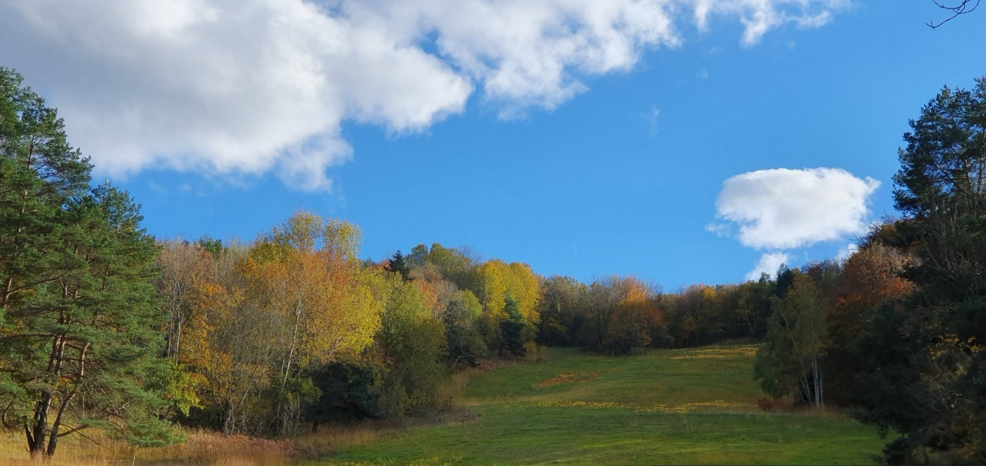 vente Domaine Ventenac - Photo 11