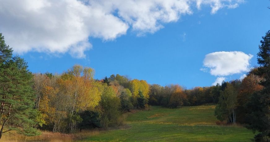 vente Domaine Ventenac