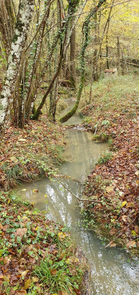 vente Domaine Ventenac - Photo 10